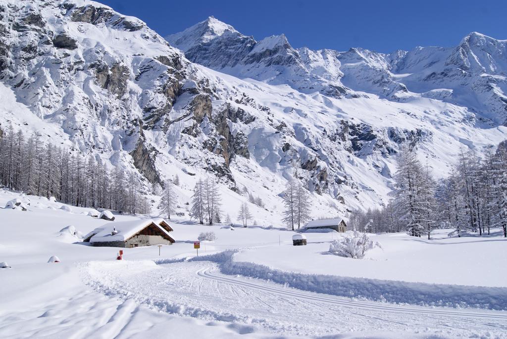 26 Praz De L'Ours Vallandry - Paradiski Peisey-Nancroix Exterior foto
